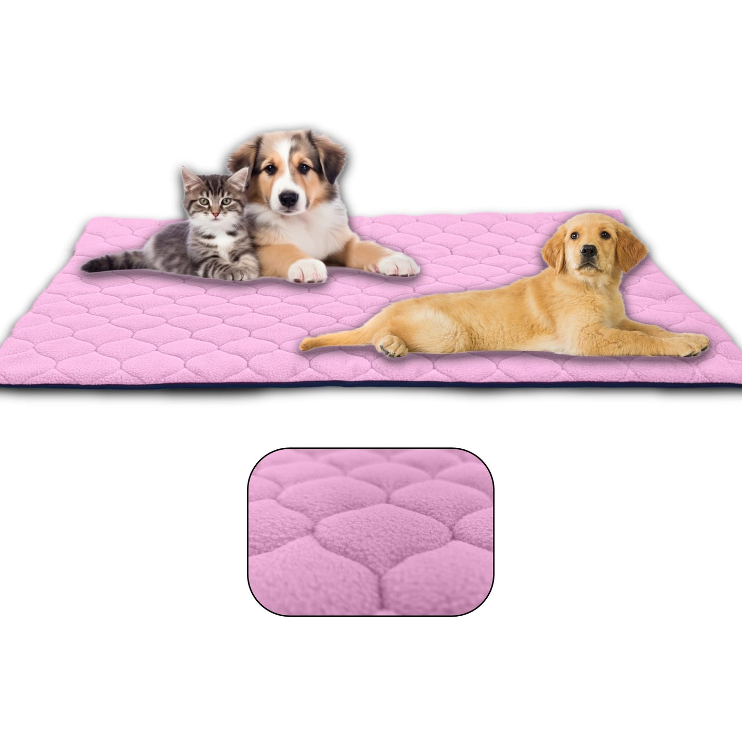 Waterproof and Comfortable Mat for Dogs and Cats - Protects Everything, No Liquid Passes Through - Available in 5 Colors and 5 Sizes