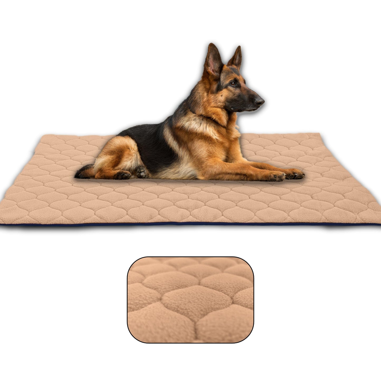 Waterproof and Comfortable Mat for Dogs and Cats - Protects Everything, No Liquid Passes Through - Available in 5 Colors and 5 Sizes