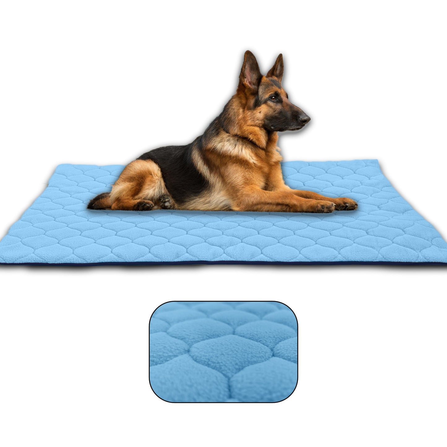 Waterproof and Comfortable Mat for Dogs and Cats - Protects Everything, No Liquid Passes Through - Available in 5 Colors and 5 Sizes