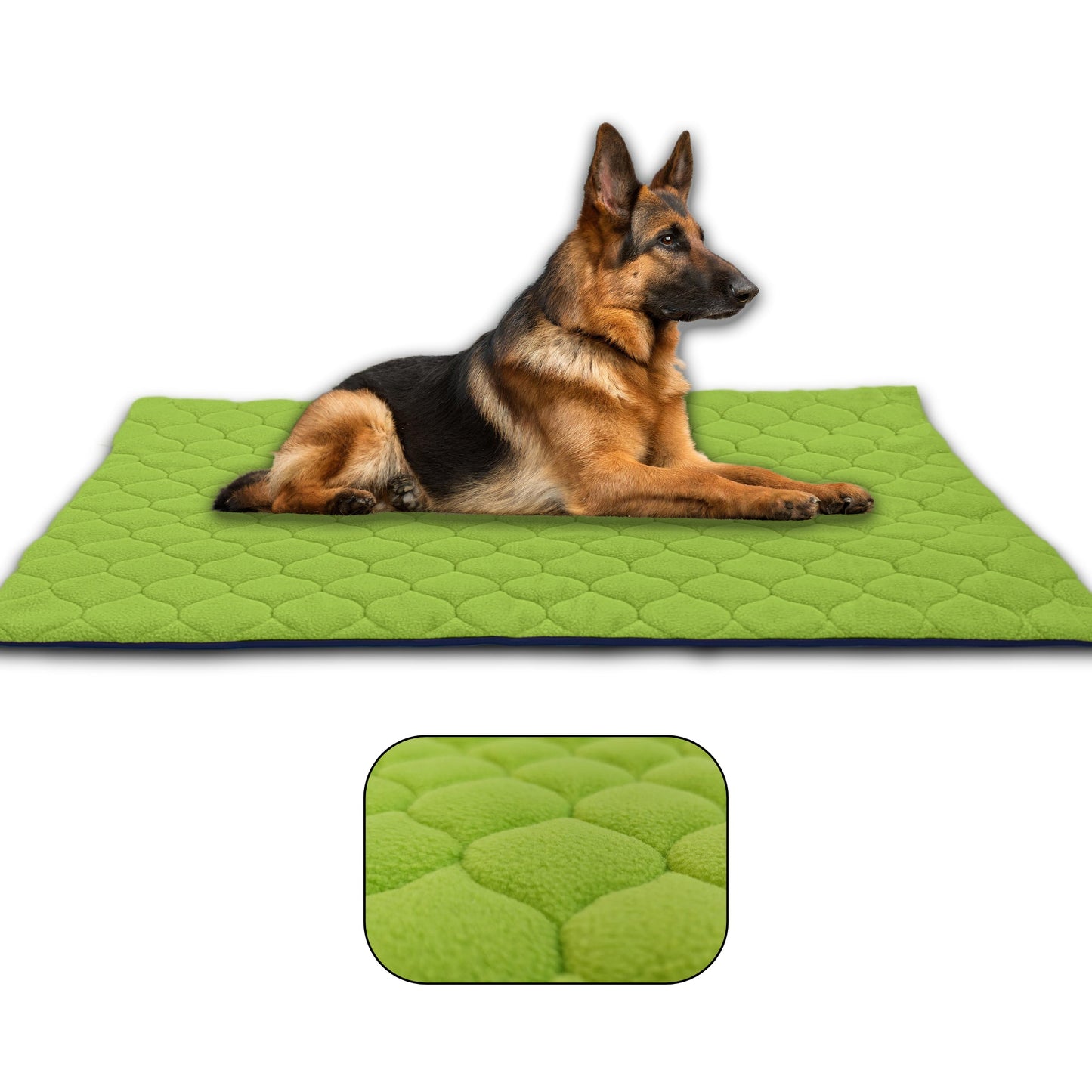 Waterproof and Comfortable Mat for Dogs and Cats - Protects Everything, No Liquid Passes Through - Available in 5 Colors and 5 Sizes