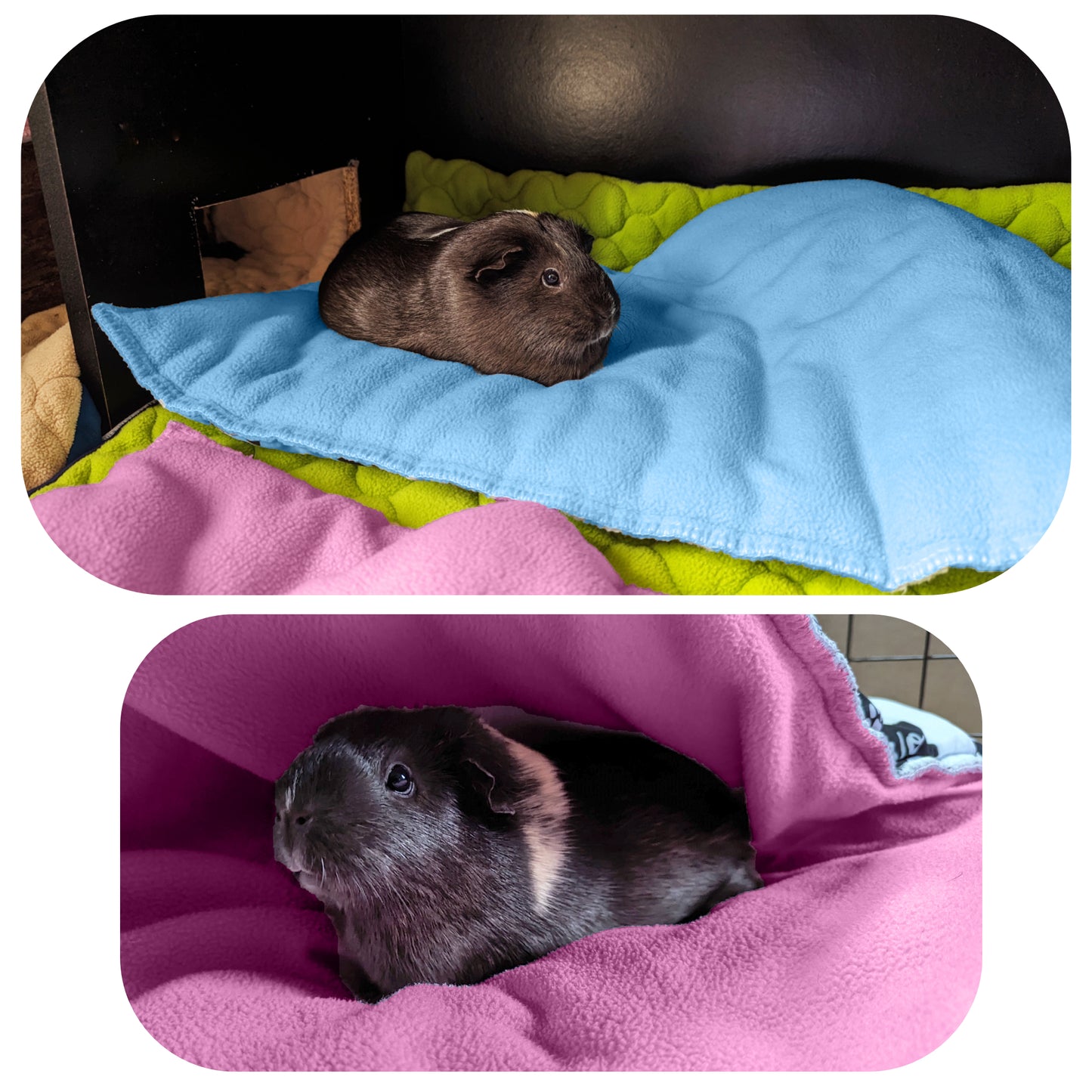 Fleece Guinea Pig and Rabbit Play Mat - All in One, it's a Blanket, a Giant Tunnel, a House, a Cushion and a Bed - Comfortable - Available in 3 Colors and 6 Sizes