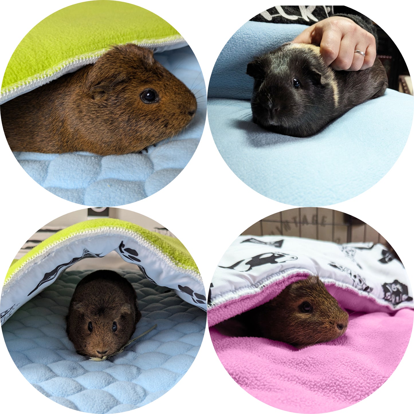 Fleece Guinea Pig and Rabbit Play Mat - All in One, it's a Blanket, a Giant Tunnel, a House, a Cushion and a Bed - Comfortable - Available in 3 Colors and 6 Sizes