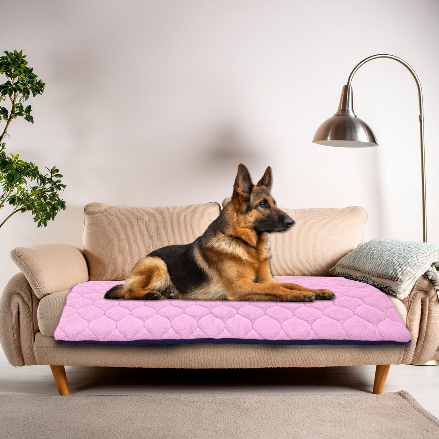 Waterproof and Comfortable Mat for Dogs and Cats - Protects Everything, No Liquid Passes Through - Available in 5 Colors and 5 Sizes