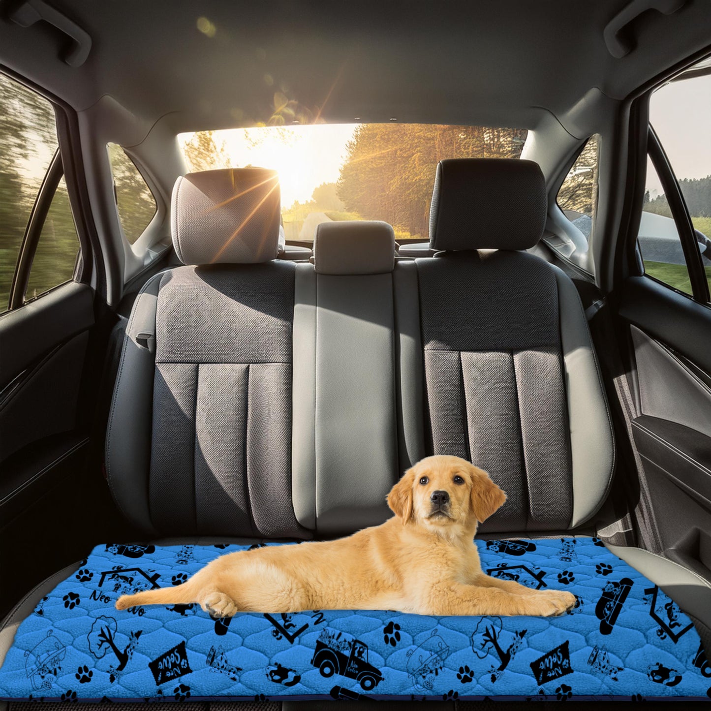 Waterproof and Comfortable Mat for Dogs and Cats - Protects Everything, No Liquid Passes Through - Available in 5 Colors and 5 Sizes