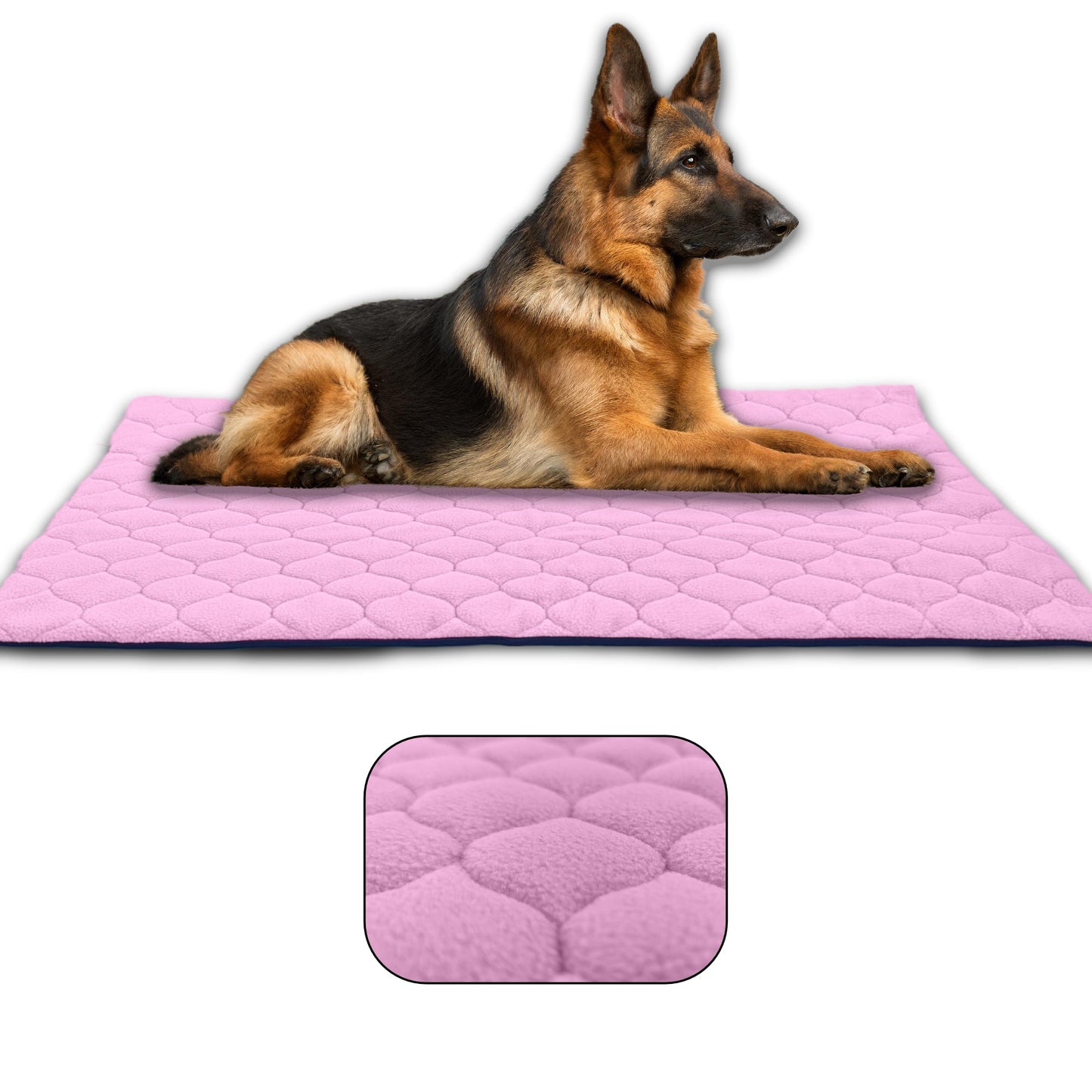 Waterproof and Comfortable Mat for Dogs and Cats - Protects Everything, No Liquid Passes Through - Available in 5 Colors and 5 Sizes